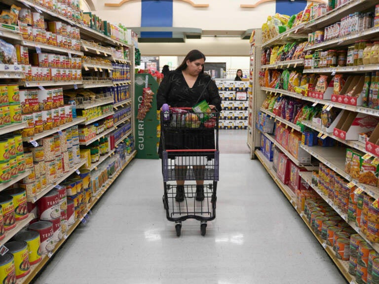 A woman shopping in a supermarket