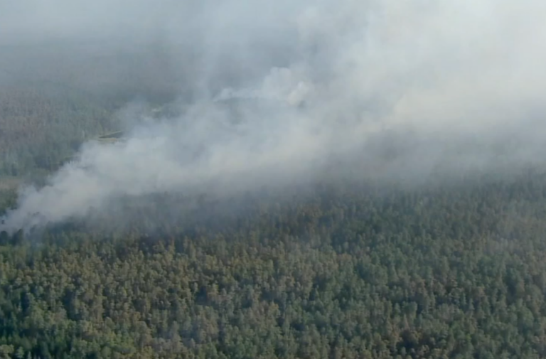 Overhead view of smoke coming up over the top of Bass State Forest.