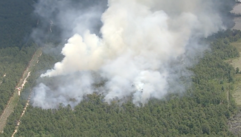 Plumes of smoke rise over trees.