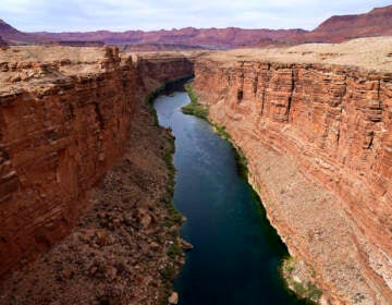 The Colorado River