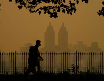 People walk in Central Park as smoke from wildfires in Canada cause hazy conditions in New York City