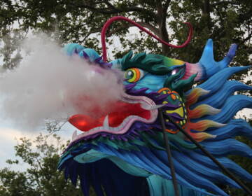 A dragon lantern is lit up at the park.