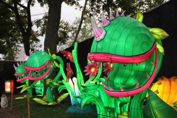 Colorful lanterns lit up at the exhibit