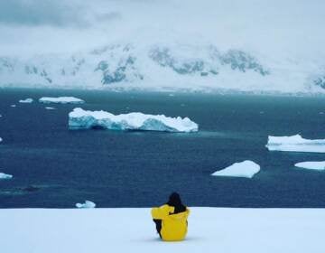 Lawrence Phillips sitting and looking out on the ocean and icebergs.