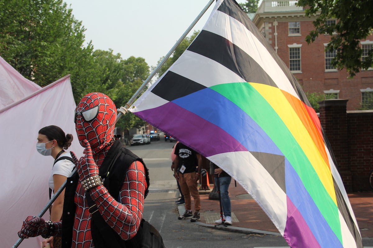 A person dressed in a Spiderman suit holds a flag with black and white stripes and a rainbow triange at a protest.