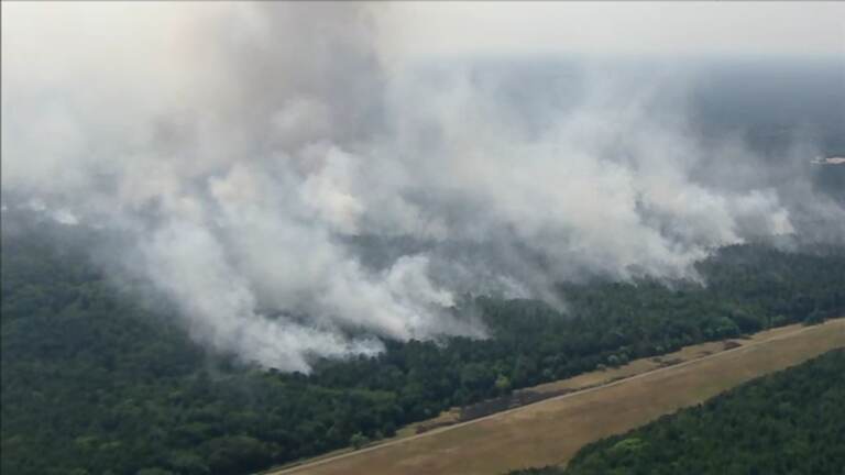 A view of plumes of smoke rising over the forest.