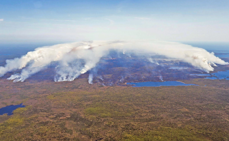 In this aerial image, wildfires burn in Shelburne County