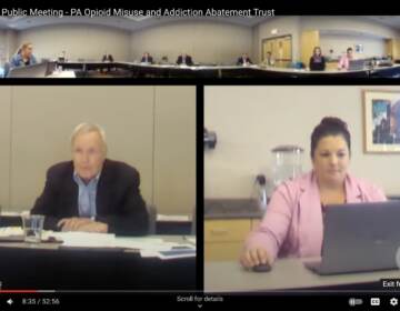 Screenshot of board meeting