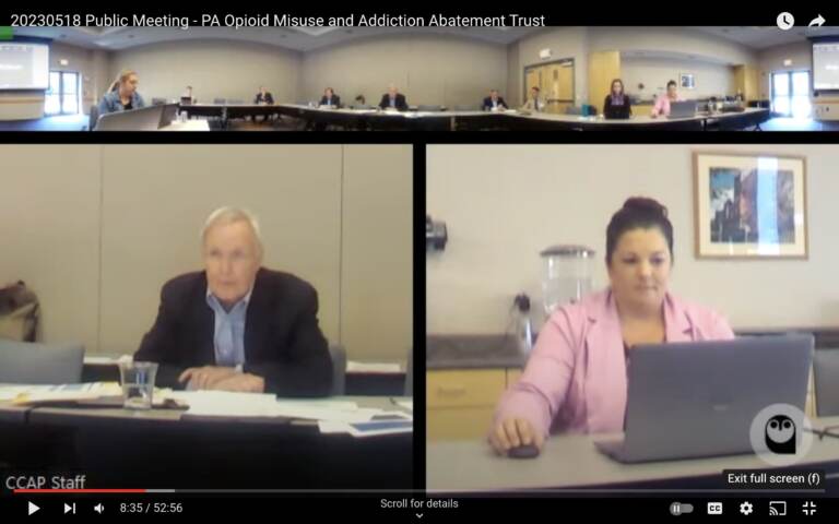 Screenshot of board meeting