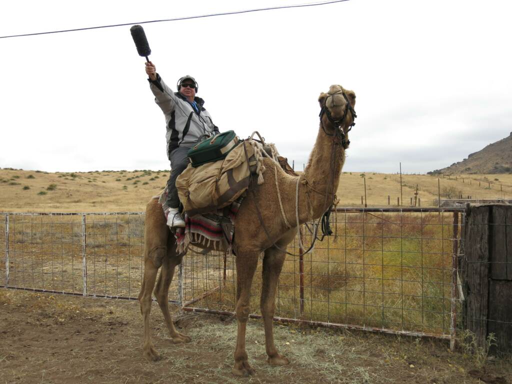 Wade Goodwyn had a knack for finding stories that few others could - like this 2013 piece about camels trekking in the Texas desert.