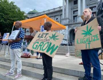 Supporters of legalizing cannabis for adult-use rally outside the state Capitol in Harrisburg on June 27, 2023. In Pennsylvania, some lawmakers have argued changes are needed to improve the medical marijuana program and prevent Pennsylvania residents from traveling to neighboring states that have legalized adult-use marijuana.