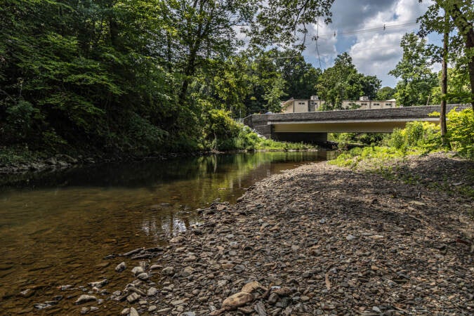 A view of the Mt. Alverno Bridge from a distance, on the shore of Chester Creek.