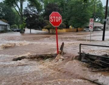 An image of a Stop sign in the middle of flooding.