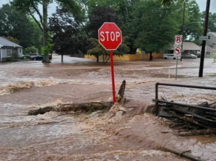 An image of a Stop sign in the middle of flooding.