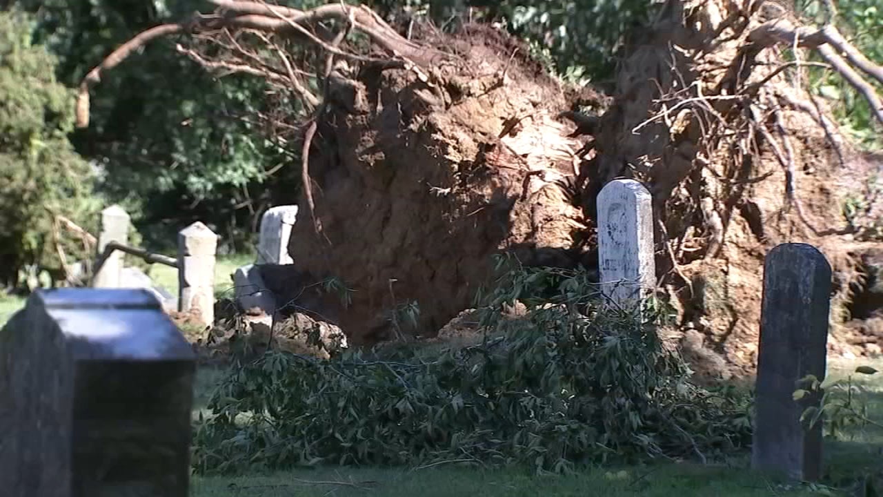 Storm leaves path of damage in Woodstown, New Jersey - WHYY