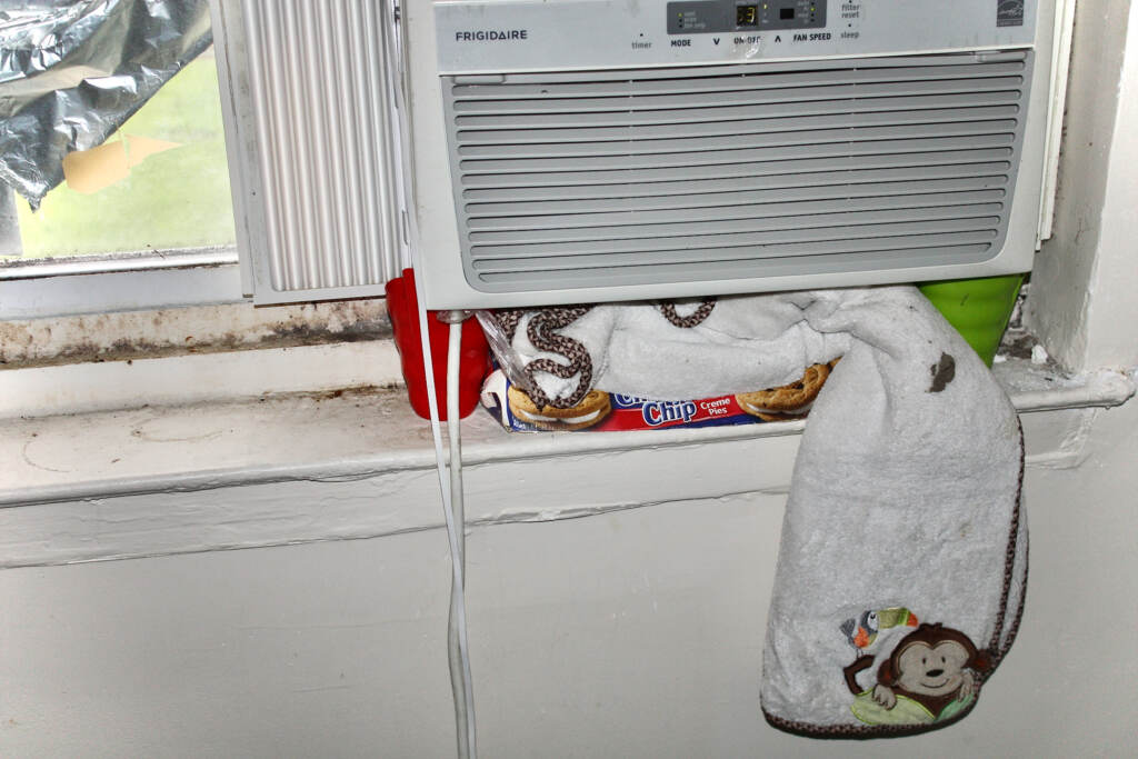 Mold can be seen on the window sill of an apartment