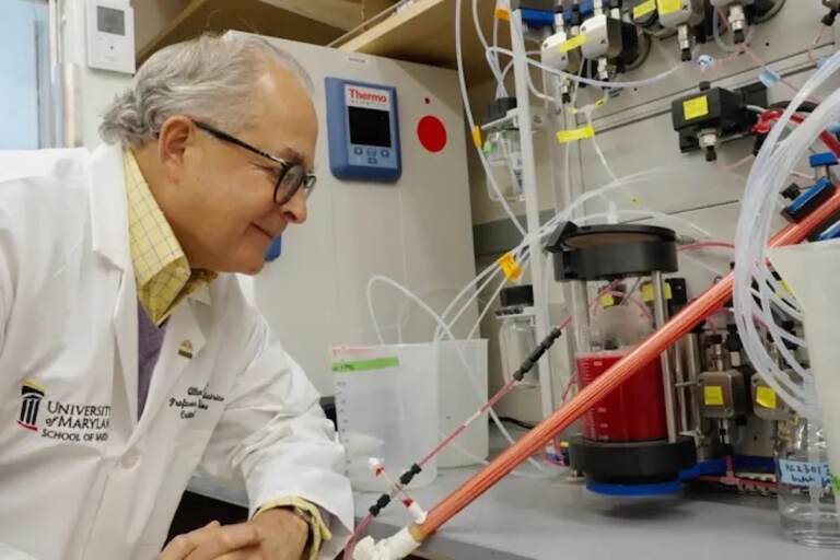 Dr. Allan Doctor in his lab at the Center for Blood Oxygen Transport and Hemostasis at the University of Maryland School of Medicine in Baltimore. (Courtesy of University of Maryland