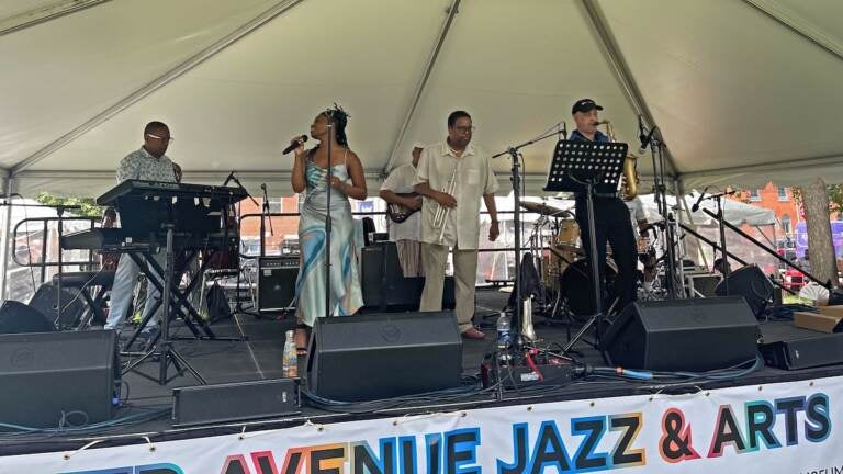Artists perform at the 2023 Lancaster Avenue Jazz and Arts Festival