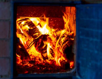 Open Door Of Wood-burning Stove