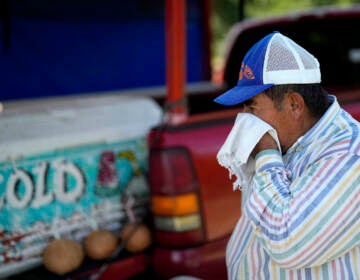Andres Matamoros wipes the sweat from his face while selling fresh fruit and cold coconuts from his roadside stand on June 28, 2023, in Houston. Nearly 400 daily maximum temperature records fell in the South in June and the first half of July, most of them in Texas