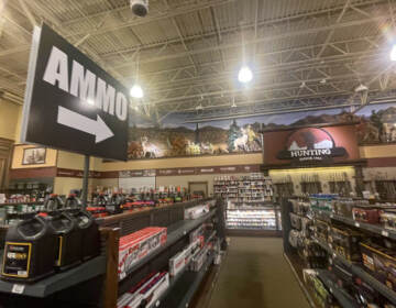 The guns and ammo section of Cabela's