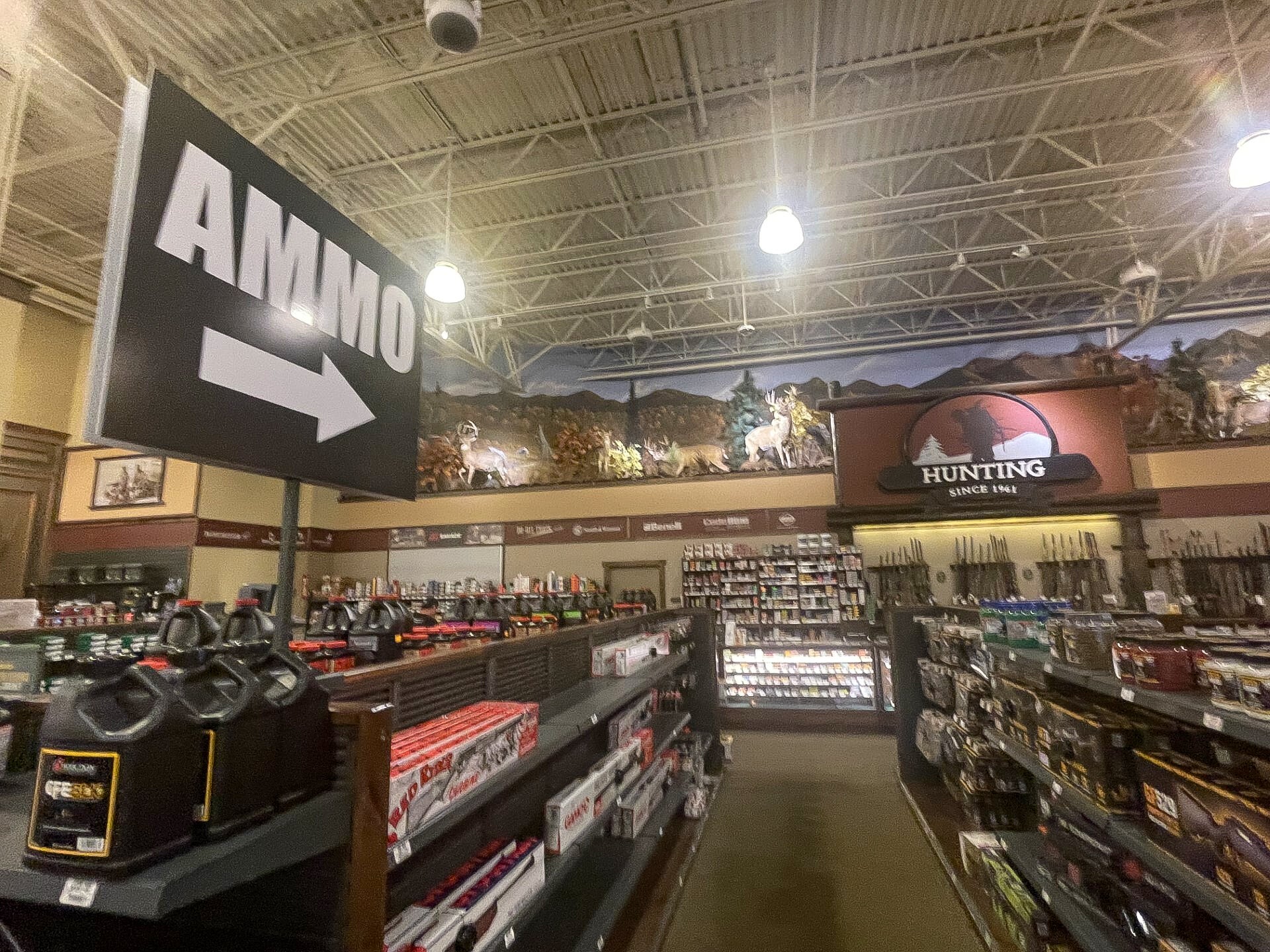 Delaware AG Jennnings, Cabela's in court fight over shoplifted ammo - WHYY