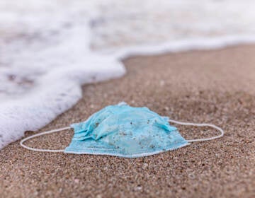 A surgical mask lies on the sand at a beach.