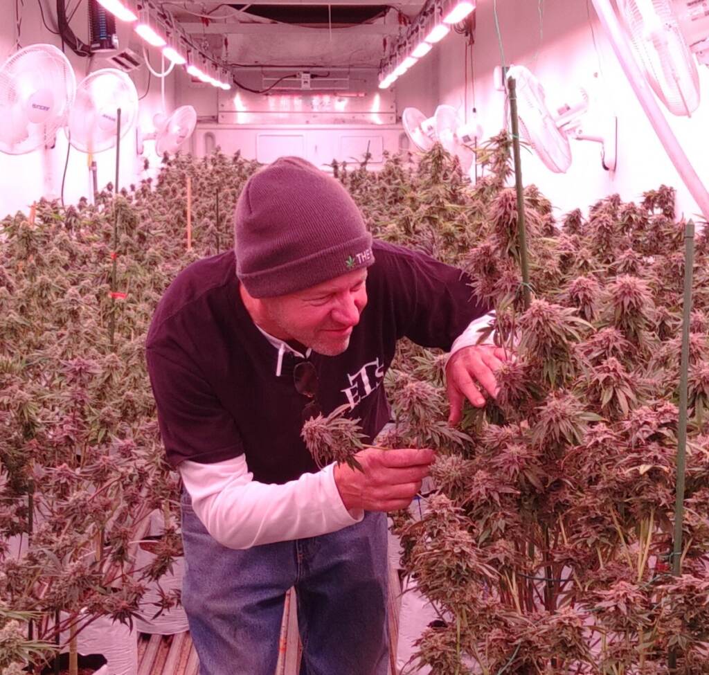 David Rohrer tends to a medical marijuana crop at The Farm.