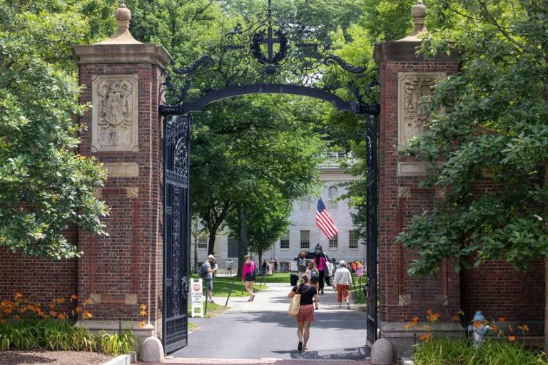 Harvard campus