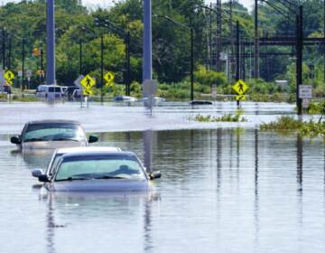 cars submerged in flood waters