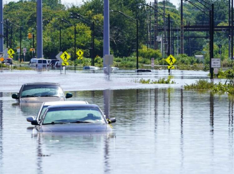 cars submerged in flood waters