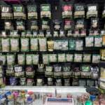 whyy.org - Liz Tung - A look at the synthetic forms of kratom that are 'more potent than fentanyl'