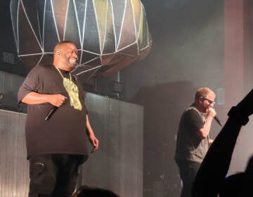 Killer Mike and El-P performing on stage