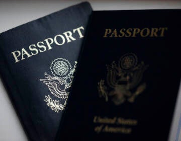 2 passport books