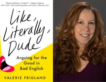 Valerie Fridland is the author of 'Like, Literally, Dude'.