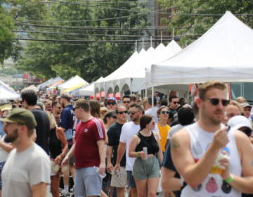 Thousands of people packed Girard Ave. through Spring Garden for the 2nd Street Festival