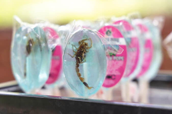 Up-close view of sugary treats with scorpion centers