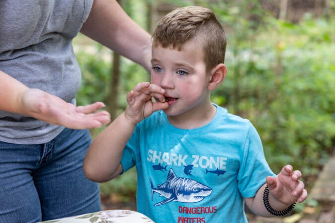 Hunter Green, 3, pops a pizza flavored worm into his mouth