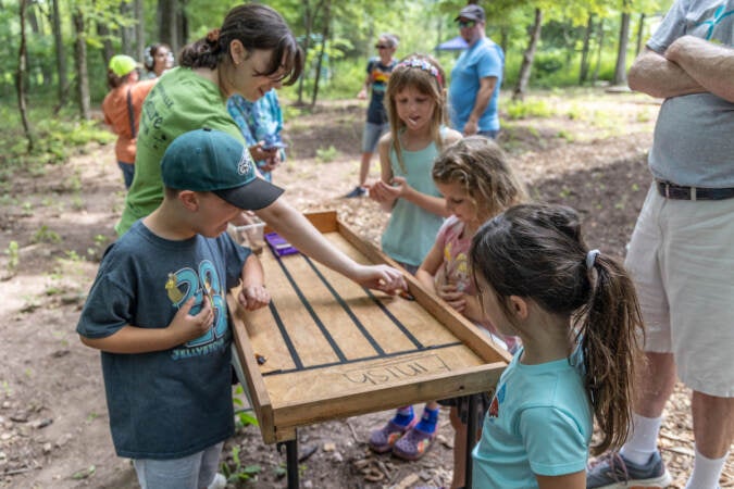 Churchville Nature Center hosts Arthropalooza in Bucks County - WHYY