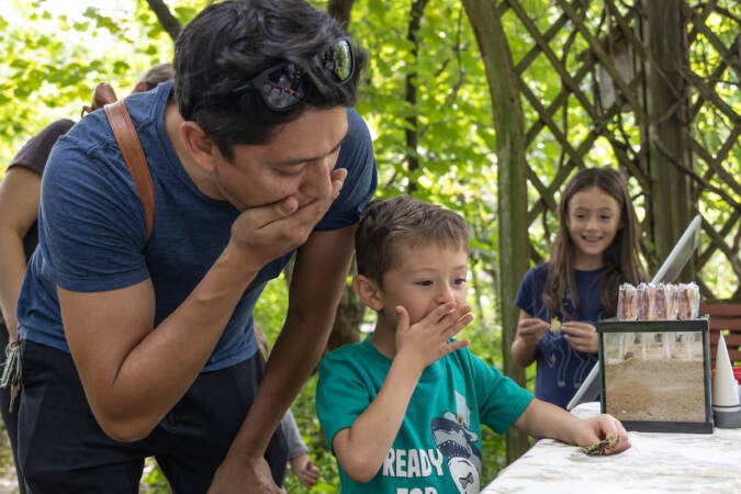 Oscar Reynolds, 5, and his dad Dan Reynolds eat bugs together