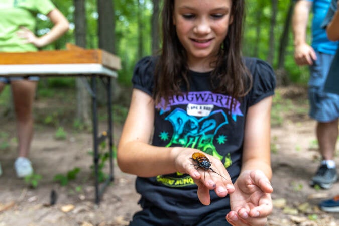 Tenley Fistick, 10, holds a hissing cockroach