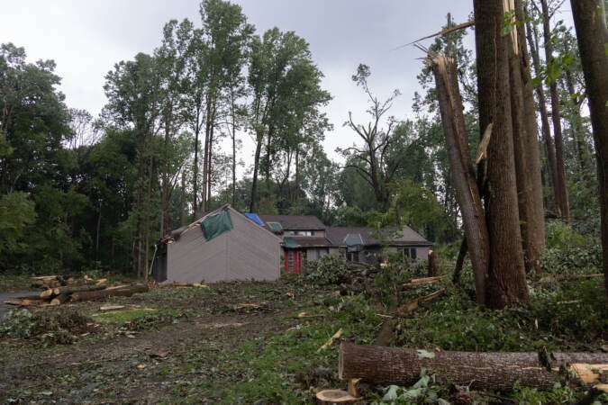 A strong storm that hit Chadds Ford, Pa., on August 7, 2023, destroyed trees and property. (Kimberly Paynter/WHYY)