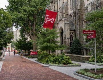 A brick walkway and stone building with a Temple logo flag flying.