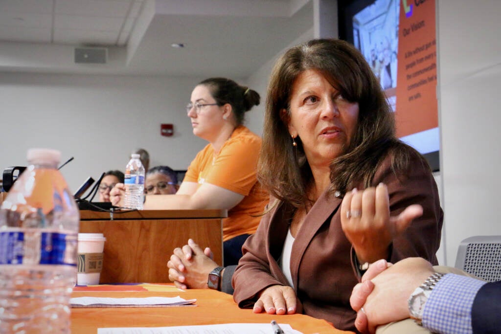 Lisa Borowski speaking as part of a panel during a town hall meeting.