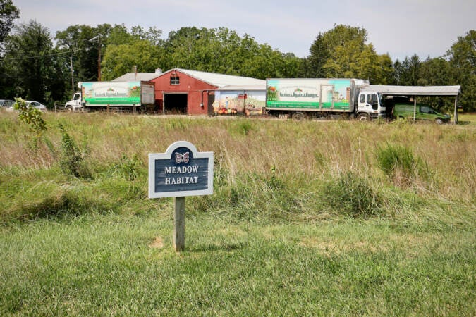 A sign reads meadow habitat at the edge of a field. In the distance, a barn and trucks are visible.