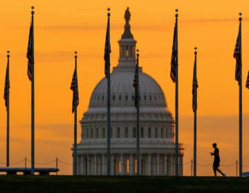 An early morning pedestrian is silhouetted against sunrise as he walks through the American flags on the National Mall with the U..S Capitol Building in the background in Washington Nov. 7, 2022.