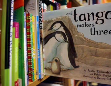 A copy of the book ''And Tango Makes Three'' is photographed on a bookstore shelf in Chicago, Nov. 16, 2006.