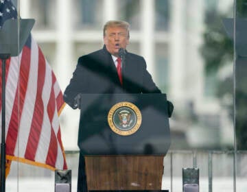 File photo: President Donald Trump speaks during a rally protesting the electoral college certification of Joe Biden as President in Washington, Jan. 6, 2021.