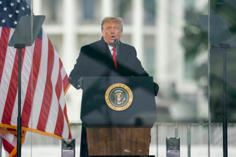 File photo: President Donald Trump speaks during a rally protesting the electoral college certification of Joe Biden as President in Washington, Jan. 6, 2021.