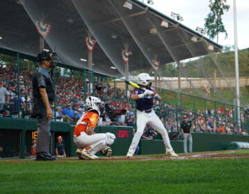 Christian Nunez at bat for Media Little League.